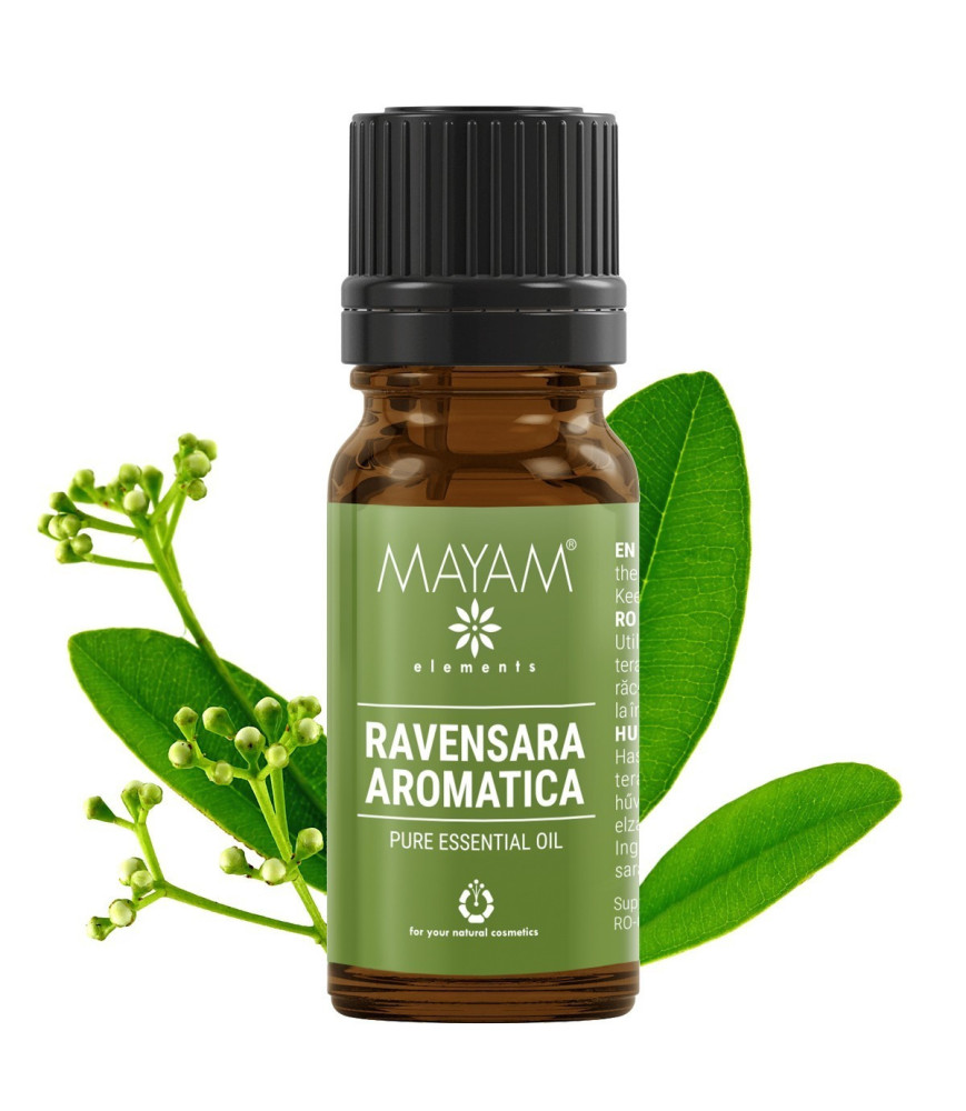 Ulei esential de Ravensara aromatica - 10 ml