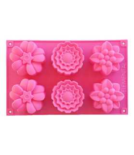 Forma de sapun Garden. 6 cavitati