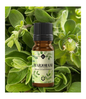 Ulei esential de Maghiran - 10 ml