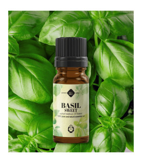 Ulei esential de Busuioc dulce - 10 ml