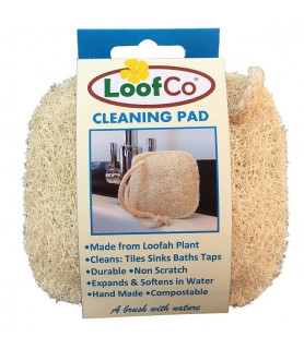 Burete pentru curatarea multisuprafetelor, LoofCo, 10x10 cm