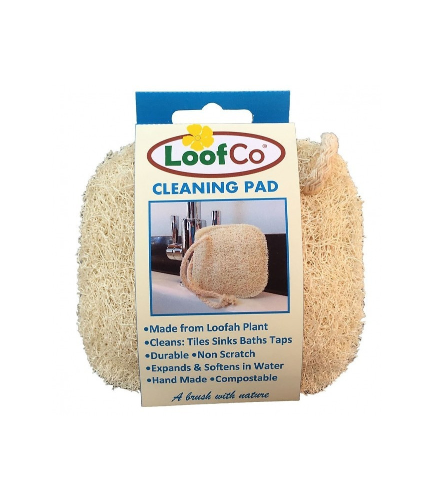 Burete pentru curatarea multisuprafetelor, LoofCo, 10x10 cm