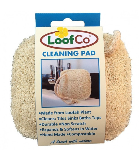 Burete pentru curatarea multisuprafetelor, LoofCo, 10x10 cm