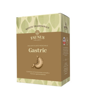 Ceai -Retete Traditionale- Gastric 180g