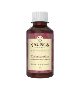 Tinctura Colesterolus 200ml