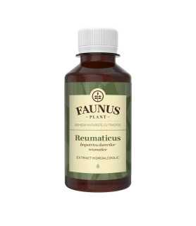 Tinctura Reumaticus 200ml