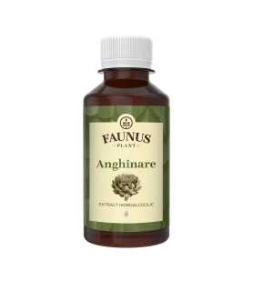 Tinctura Anghinare 200ml