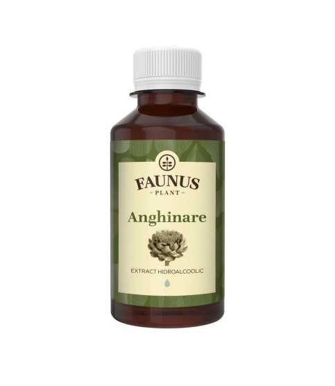 Tinctura Anghinare 200ml