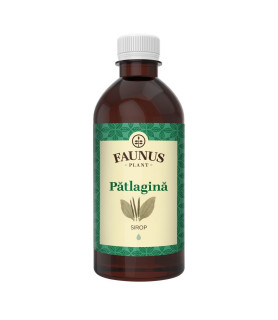 Sirop Pin 500ml