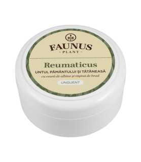 Unguent Reumaticus 100ml
