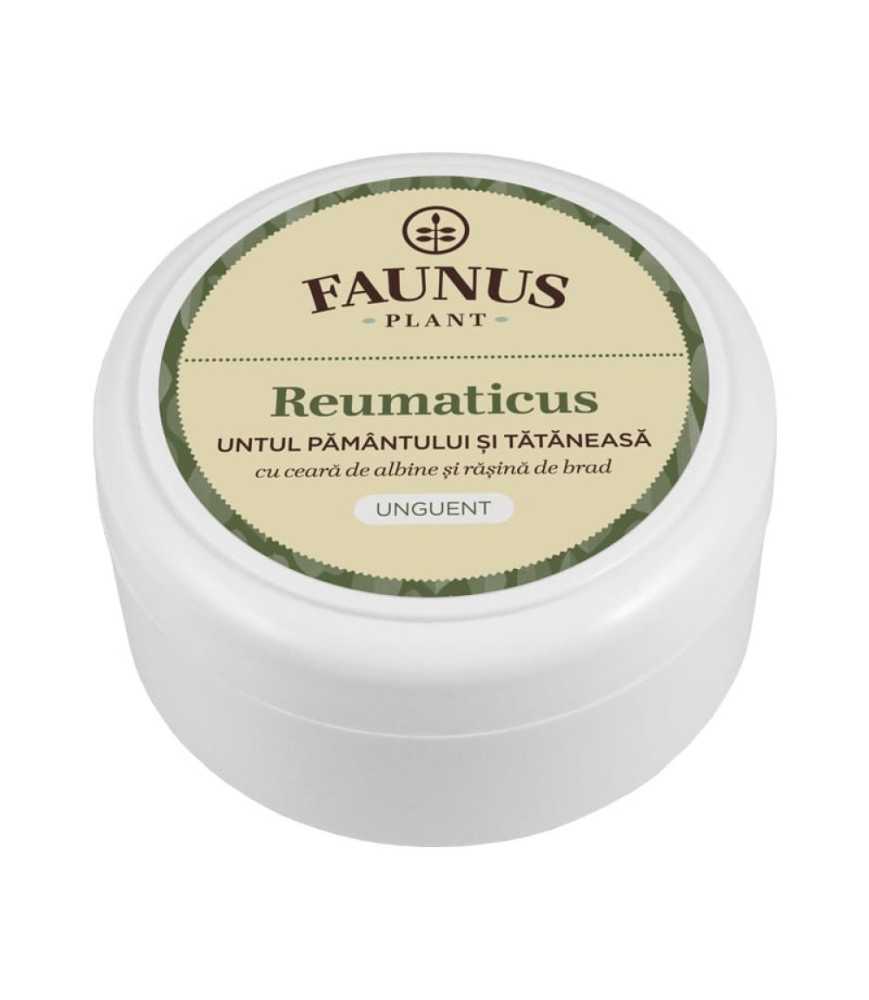 Unguent Reumaticus 100ml