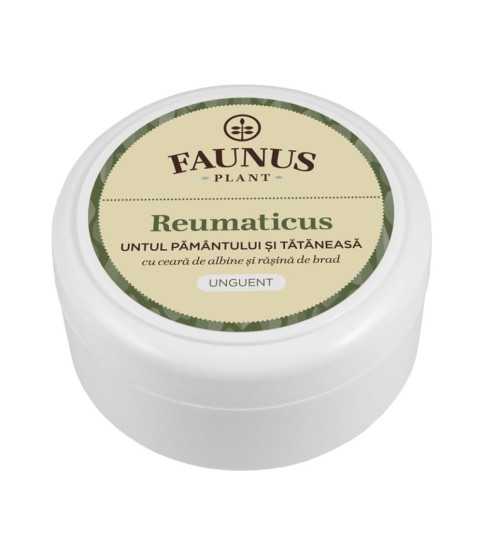 Unguent Reumaticus 100ml
