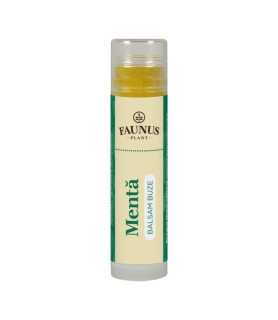 Balsam Buze Menta 5ml