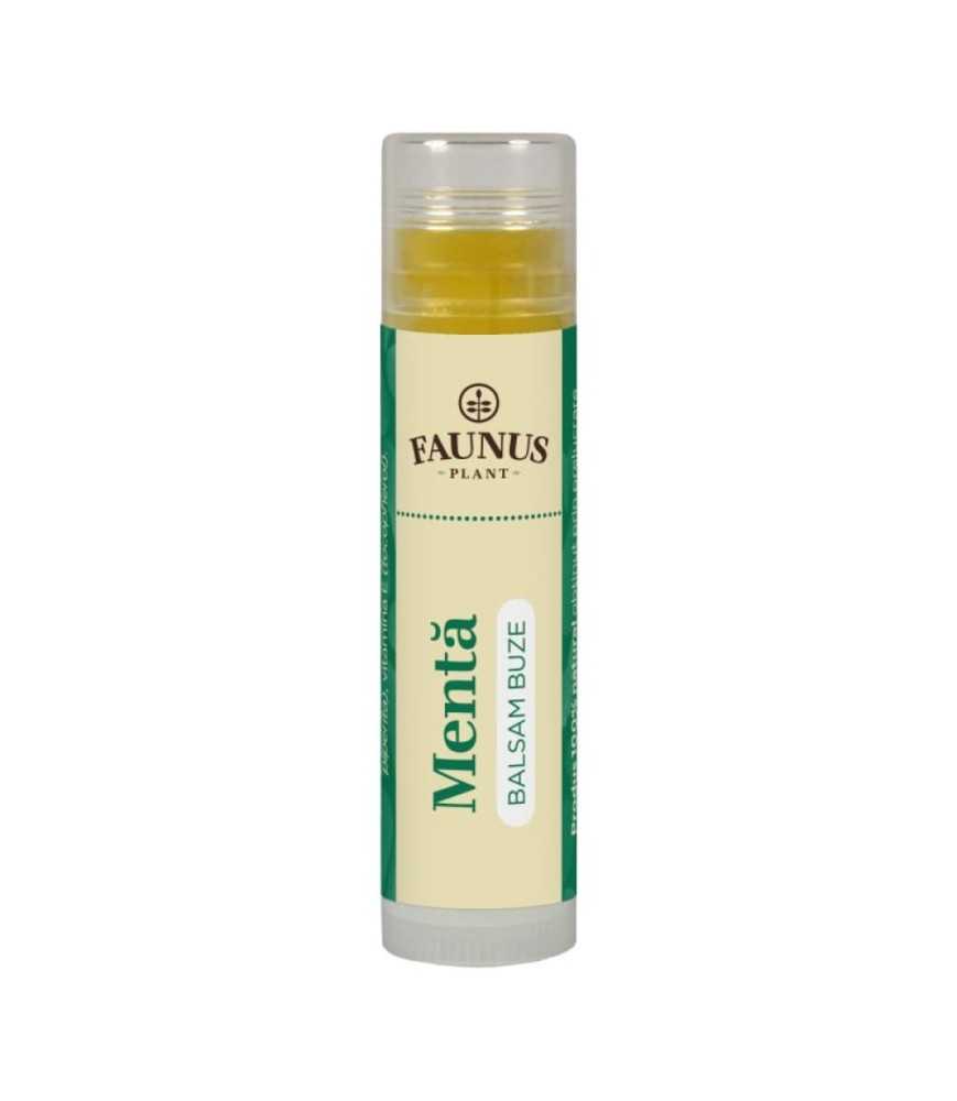 Balsam Buze Menta 5ml