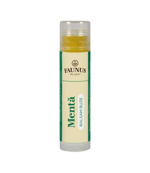 Balsam Buze Menta 5ml