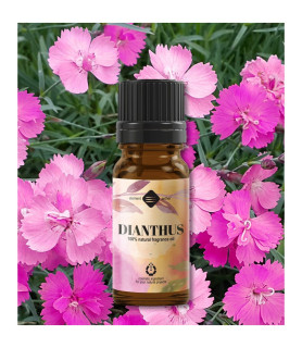 Parfumant natural Garoafe - 10 ml