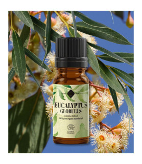 Ulei esential de Eucalipt Lemon - 10 ml