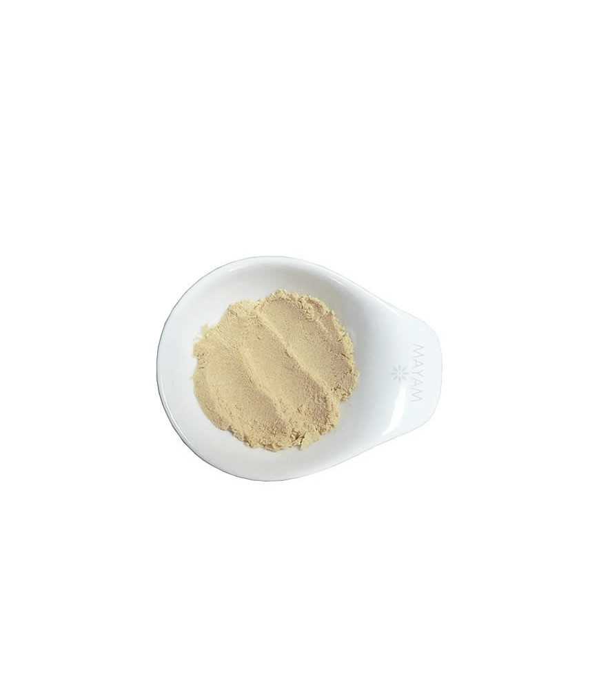 Pudră de Aloe Vera Bio. Ecocert / Cosmos - 10 g