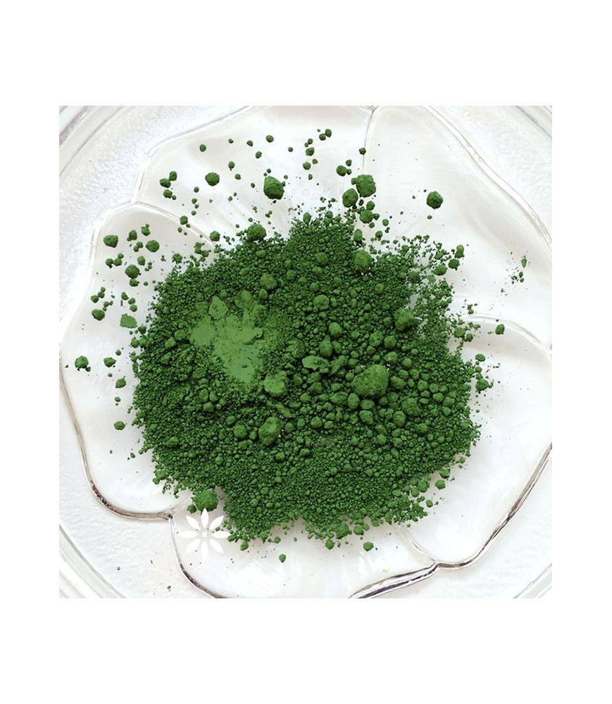 Pigment cosmetic mat 17 verde - 3 g